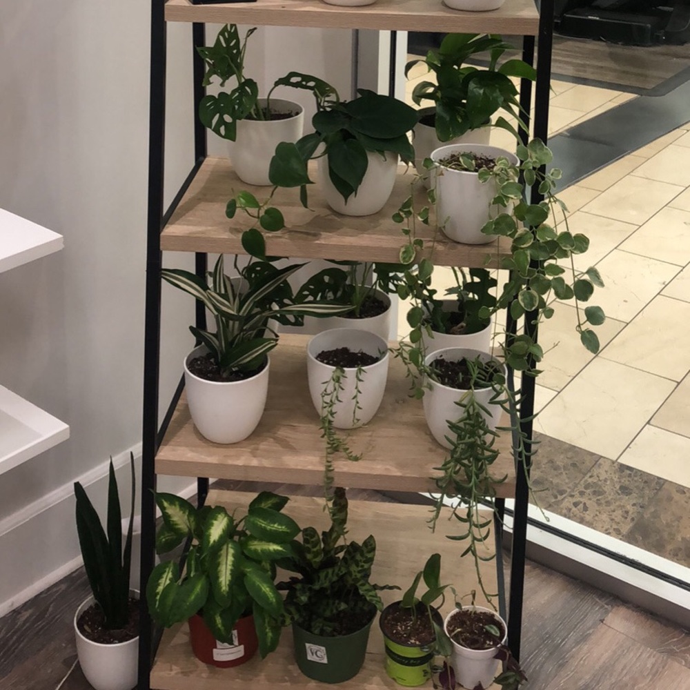 Plants!